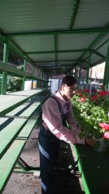 Pazar faaliyetlerinin ortasında, genç bir kadın satıcının bitkilerle titizlikle ilgilendiği görülüyor. Yüksek kalite 4k görüntü