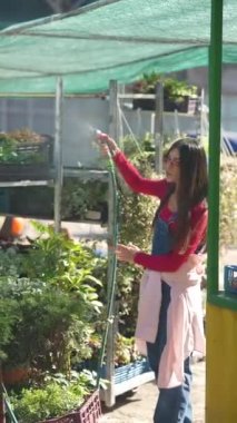 Markette, genç bir bayan satıcı seçiminin bir parçası olarak bitkilerle ilgileniyor. Yüksek kalite 4k görüntü