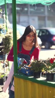 Hareketli pazar ortamında, bir bayan satıcı mevcut bitkilere özel bakım sağlıyor. Yüksek kalite 4k görüntü