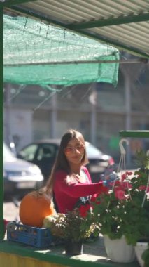 Tedarikçi olarak çalışan muhteşem bir kadın, pazarda sattığı bitkilerle dikkatle ilgilenirken görülüyor. Yüksek kalite 4k görüntü