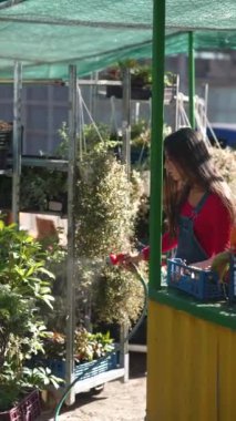 Hareketli pazar ortamında, bir bayan satıcı mevcut bitkilere özel bakım sağlıyor. Yüksek kalite 4k görüntü