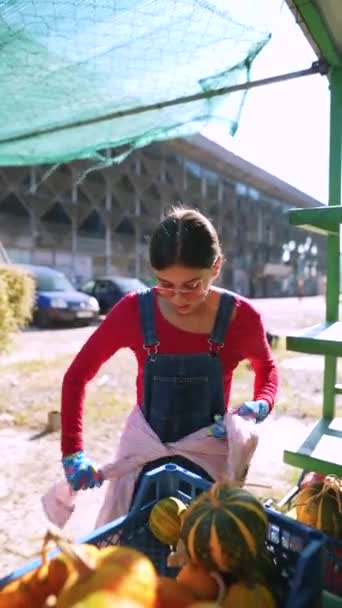 Mitt Marknaden Sprutar Ung Försäljare Handskar Försiktigt Vatten Blommorna Högkvalitativ — Stockvideo