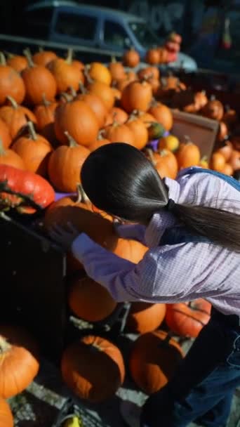 Mercado Una Joven Agricultora Vibrante Muestra Con Orgullo Las Calabazas — Vídeo de stock