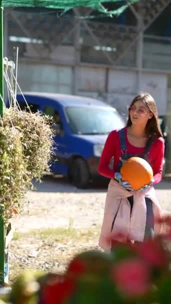 Güzel Bir Kadın Satıcı Pazarda Sattığı Balkabaklarını Sergiliyor Yüksek Kalite — Stok video