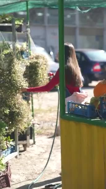 Nyüzsgő Piacon Egy Női Eladó Szenvedélyesen Gondozza Növényeket Eladásra Kiváló — Stock videók