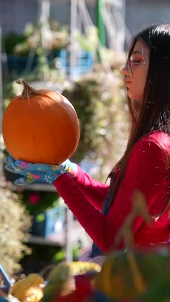 Youthful Woman Working Farmer Seen Presenting Big Orange Pumpkin Shes — Stock Video