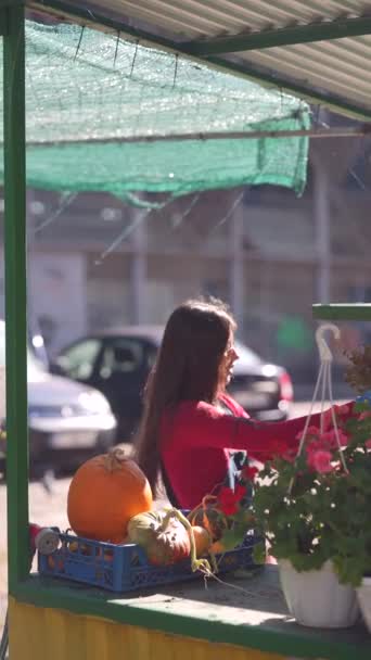 Pazarda Sevimli Genç Bir Bayan Satıcı Satılık Bitkilerini Dikkatlice Yetiştiriyor — Stok video