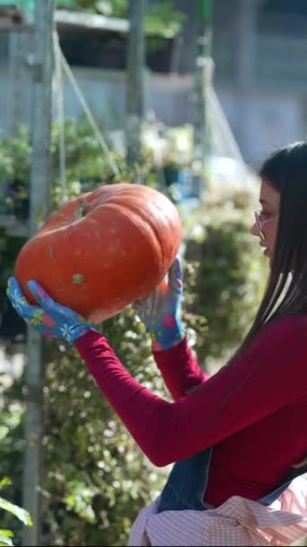 市場では エネルギッシュな若い女性農家が購入可能な実質的なオレンジ色のカボチャを示しています 高品質の4K映像 — ストック動画