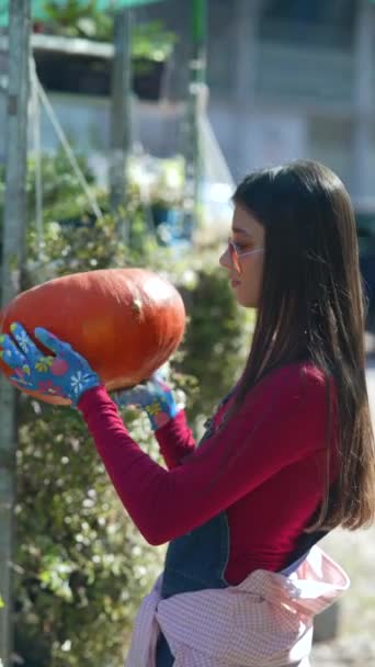 農家として働く少女は 市場で彼女の目録に大きなオレンジ色のカボチャを熱狂的に展示しています 高品質の4K映像 — ストック動画