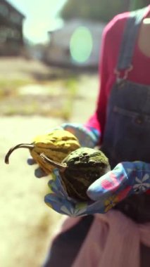 Markette, genç bir dişi çiftçi satılık balkabaklarının çeşitlerini sergiliyor. Yüksek kalite 4k görüntü