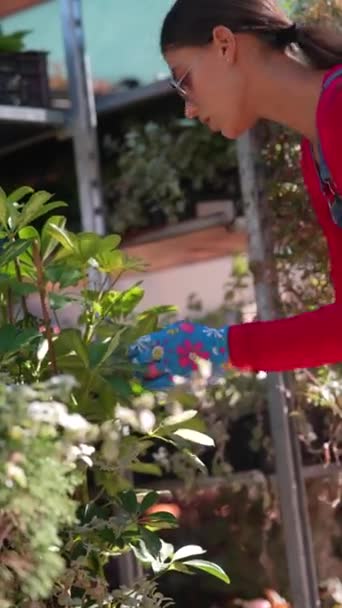 Дівчина Яка Працює Постачальник Ентузіазмом Відзначається Доглядом Рослинами Інвентарі Ринку — стокове відео