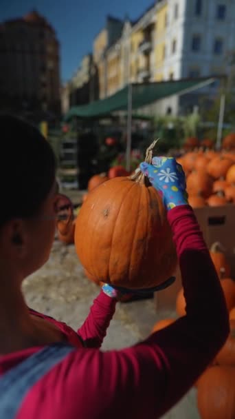 Market Stall Young Lady Vendor Engagingly Displaying Pumpkins Part Her — Stock Video