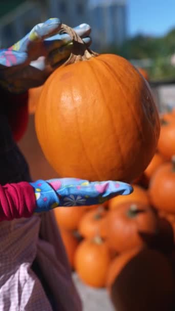 Молодая Женщина Фермер Демонстрирует Большую Оранжевую Тыкву Которую Продает Рынке — стоковое видео
