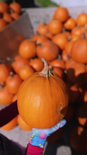 Uprostřed Tržiště Ukazuje Mladá Farmářka Značnou Pomerančovou Dýni Která Součástí — Stock video