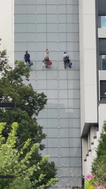 Професіонали Прибирають Вікна Високих Будівлях Високоякісні Кадри — стокове відео