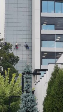 Profesyoneller yüksek binaların camlarını temizliyor. Yüksek kalite 4k görüntü