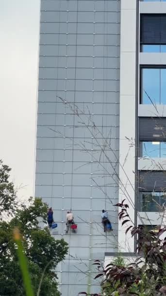 窗户清洁工们正在对高大的建筑物履行他们的职责 高质量的4K镜头 — 图库视频影像