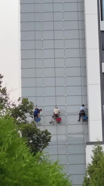 三个穿着工作服的人倾向于在一座高楼上洗窗 高质量的4K镜头 — 图库视频影像