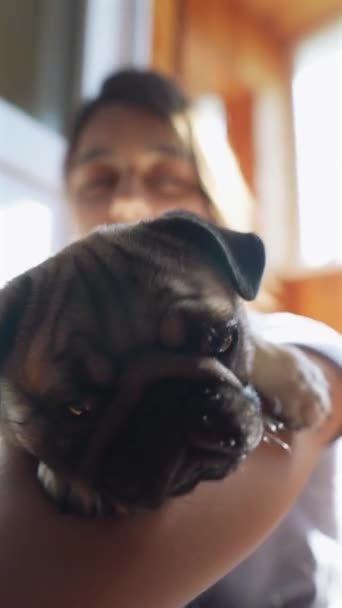 Met Een Pug Puppy Haar Armen Zit Een Zachtaardige Jonge — Stockvideo