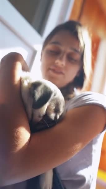 Cucciolo Carlino Coccolato Una Bella Giovane Donna Mentre Siede Sul — Video Stock