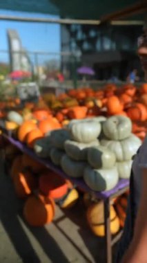 Canlı pazar ortamında, bir bayan çiftçi kullandıkları balkabağı yetiştirme yöntemleri hakkında bilgi sağlıyor. Yüksek kalite 4k görüntü