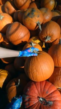 Piyasa faaliyetlerinin ortasında, genç bir kadın çiftçinin sunduğu balkabaklarını gururla sunduğu görülüyor. Yüksek kalite 4k görüntü