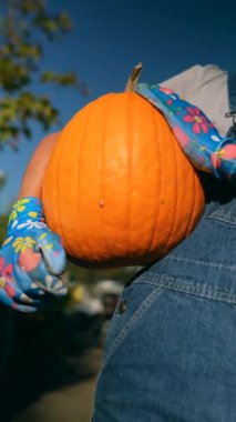 Çiftçi olarak çalışan genç bir kadın, pazarda sattığı balkabaklarını sunarken görülüyor. Yüksek kalite 4k görüntü