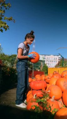 Bir dişi çiftçi, pazarda satılık balkabaklarını hevesle sergilerken görülüyor. Yüksek kalite 4k görüntü