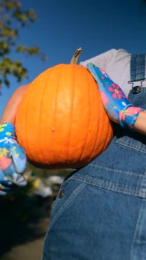 Pazar sahnesinin ortasında, genç ve hayat dolu bir dişi çiftçi sunduğu balkabaklarını sergiliyor. Yüksek kalite 4k görüntü