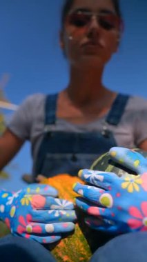 Çiftçi olarak çalışan genç bir kadın, pazarda sattıkları farklı balkabaklarını sunarken görülüyor. Yüksek kalite 4k görüntü