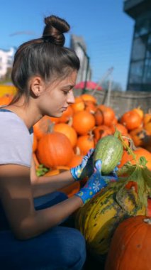 Tedarikçi olarak çalışan bir kız, markette balkabaklarını sergilerken görüldü. Yüksek kalite 4k görüntü