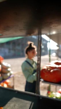 Markette, genç bir bayan çiftçi satın alınabilecek çeşitli balkabaklarını sunuyor. Yüksek kalite 4k görüntü