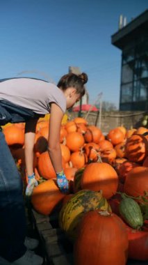 Markette, genç ve güzel bir bayan satıcı gururla sattığı balkabaklarını sergiliyor. Yüksek kalite 4k görüntü