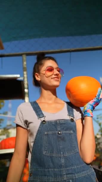 Девушка Которая Работает Фермером Энтузиазмом Демонстрирует Большую Оранжевую Тыкву Инвентаре — стоковое видео