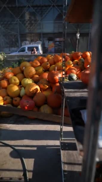 人们看到一位女农民兴致勃勃地解释南瓜种植在市场上出售的原因 高质量的4K镜头 — 图库视频影像