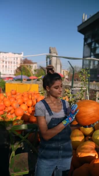 Pazar Yerinde Enerjik Genç Bir Bayan Çiftçi Satın Alınabilecek Balkabaklarını — Stok video