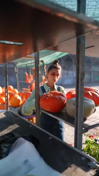 Dans Cadre Dynamique Marché Une Agricultrice Démontre Les Différentes Citrouilles — Video