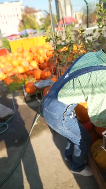 Bir Dişi Çiftçi Pazarda Satılık Büyük Portakal Kabağını Hevesle Sergilerken — Stok video