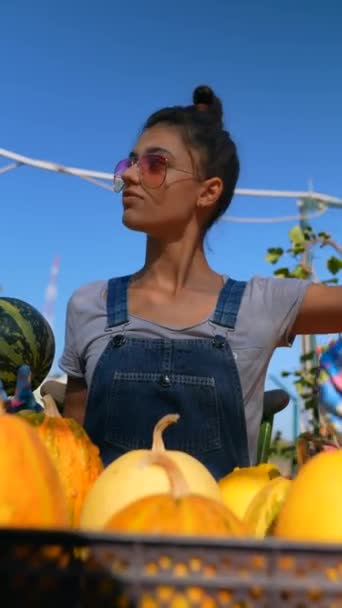 농부로 일하는 소녀는 시장에서 그들의 재고에 호박의 다양성을 보여주는 발견된다 — 비디오