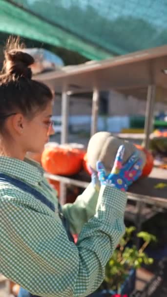 Woman Farmer Seen Proudly Showcasing Pumpkins Sale Market High Quality — Stock Video