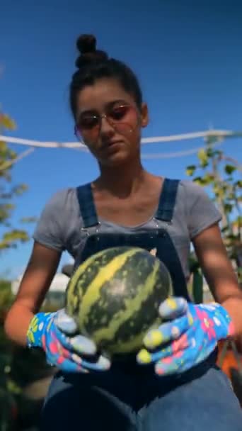 Puesto Del Mercado Una Joven Agricultora Presenta Las Diferentes Calabazas — Vídeo de stock