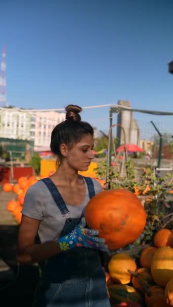 Рынке Энергичная Молодая Леди Фермер Демонстрирует Тыквы Доступные Покупки Высококачественные — стоковое видео
