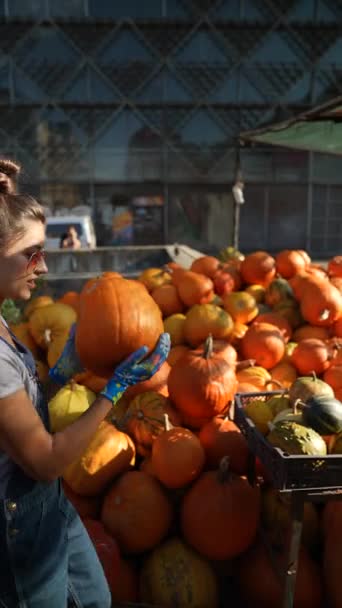Ein Mädchen Das Als Bäuerin Arbeitet Wird Auf Dem Markt — Stockvideo