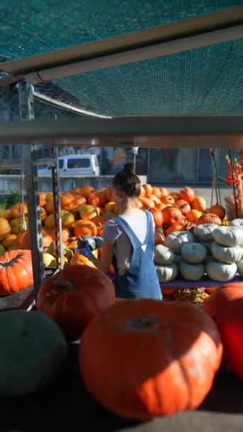 Market Lovely Young Lady Vendor Proudly Displaying Pumpkins She Has — Stock Video