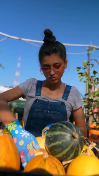 Στην Αγορά Μια Δραστήρια Νεαρή Αγρότισσα Επιδεικνύει Τις Κολοκύθες Που — Αρχείο Βίντεο