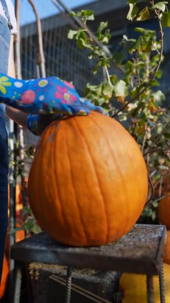 Рынке Энергичная Молодая Леди Фермер Демонстрирует Значительную Оранжевую Тыкву Доступную — стоковое видео