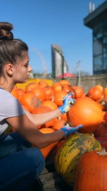 Pazar sahnesinin ortasında, güzel bir kadın satıcı kurbanlarının bir parçası olan balkabaklarını sergiliyor. Yüksek kalite 4k görüntü