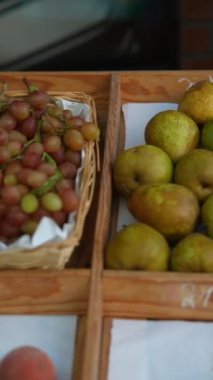 Avrupa 'daki bir çiftçi pazarında çeşitli olgun ve sulu meyveler sergilenmektedir. Yüksek kalite 4k görüntü