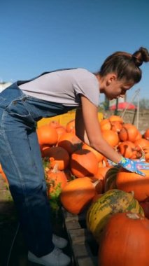 Satıcı olarak çalışan muhteşem bir kadın, pazarda sattığı balkabaklarını sunarken görülüyor. Yüksek kalite 4k görüntü