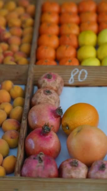 欧洲市场的货架上有新鲜而醇厚的水果 农民市场 高质量的4K镜头 — 图库视频影像